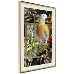 Arkiio Affisch Golden Parrot [Poster] 40x60 Poster